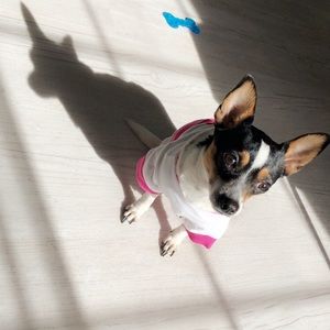 Meet your Posher, Arcelia